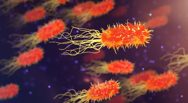 Regenerative Behandlung bei Nierenerkrankungen
